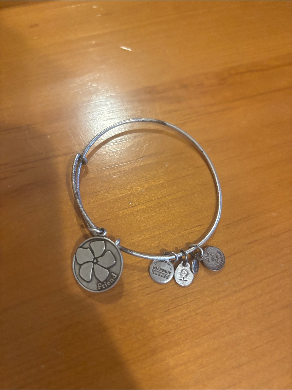 Alex and Ani Silver Charm Bangle Bracelet with Flower 'Friend' Charm